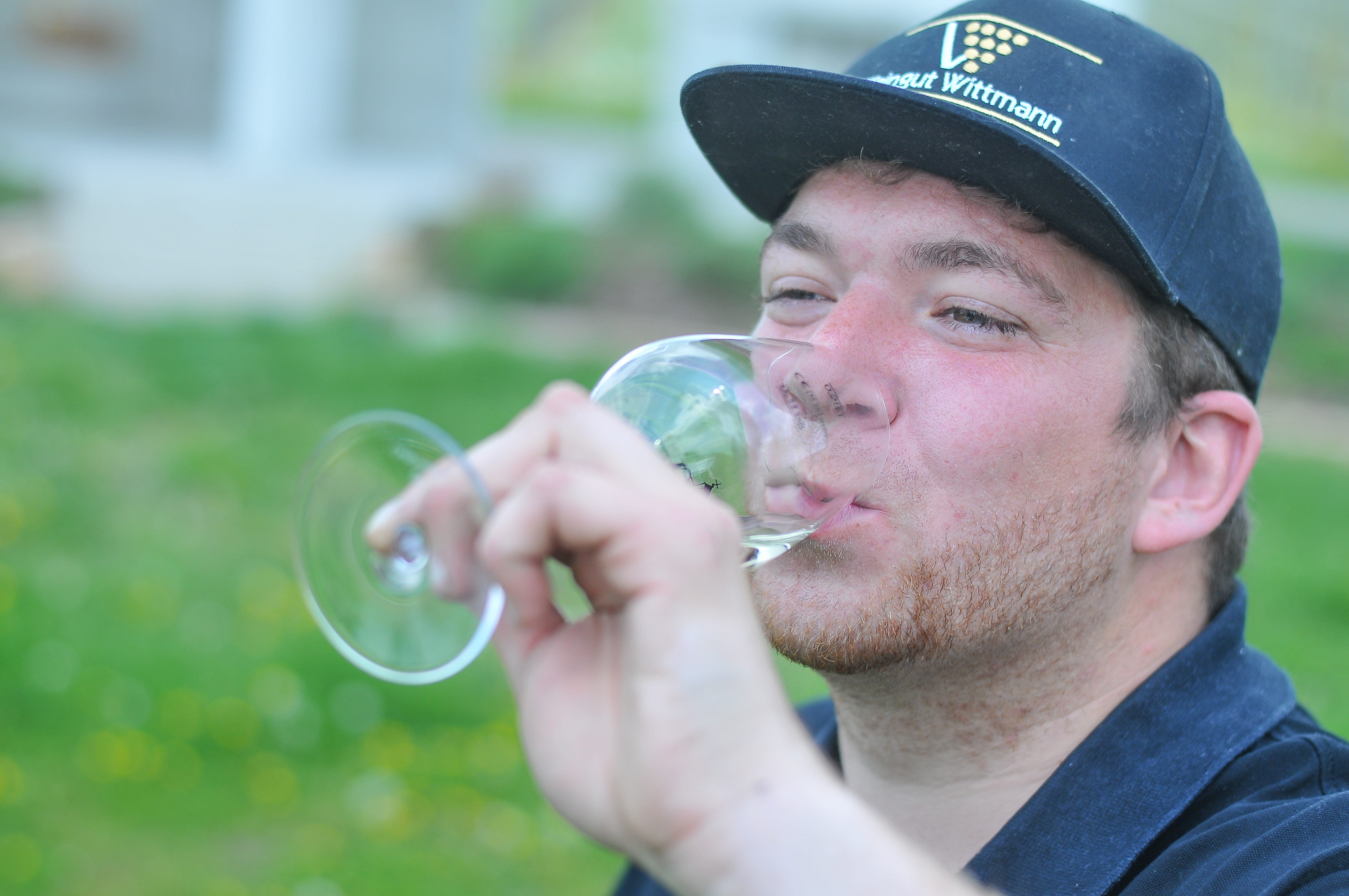 Jungwinzer Weingut Wittmann – Tradition & Innovation
