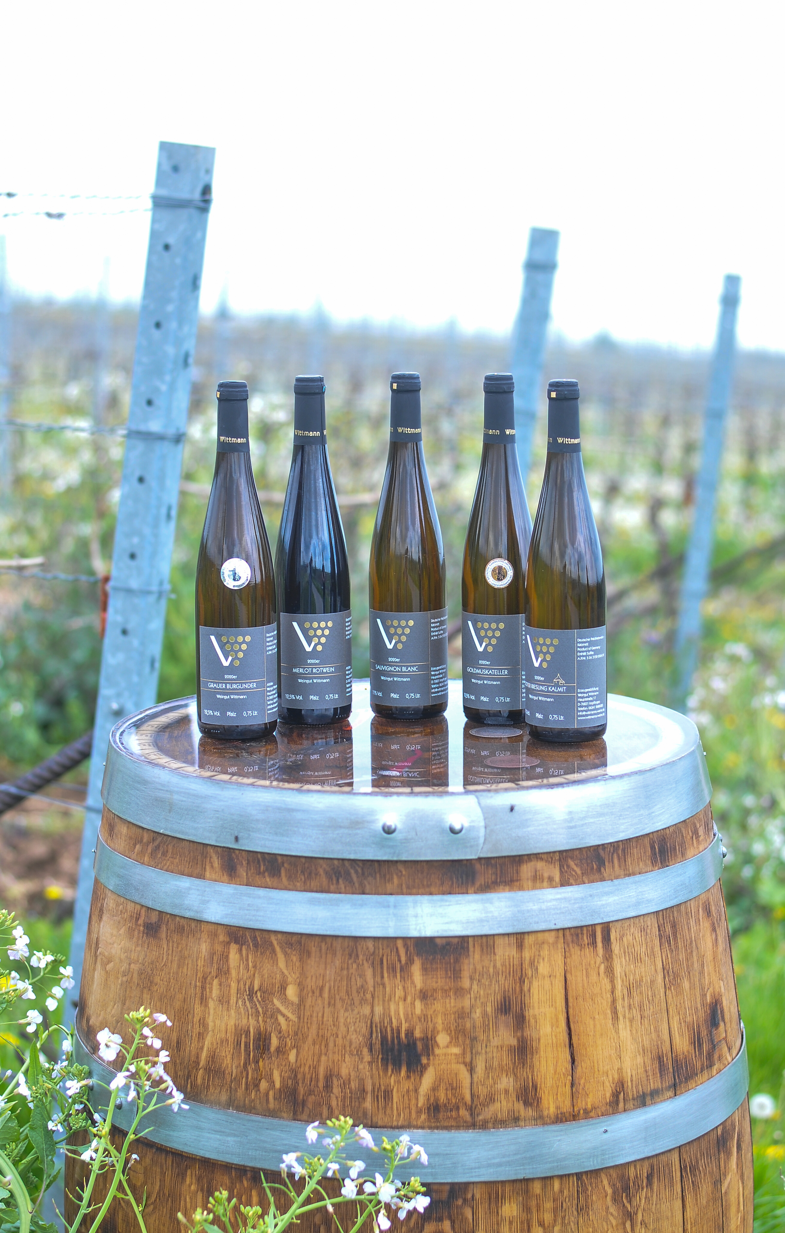Weißer Burgunder Weißwein Flaschen Weingut Wittmann: "Weißweinflasche vom Weingut Wittmann"