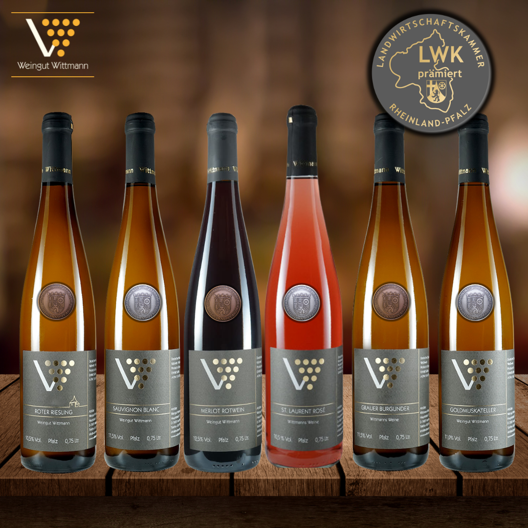 Weinprobe mit prämierten Weinen – Genießen Sie eine Weinprobe mit Weinen, die mit der Kammerpreismünze ausgezeichnet wurden.